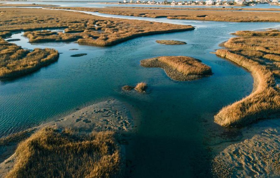 An aerial view of the flowing water in grasslands in bright sunlight in Murrells Inlet, Georgetown county, South Carolina, United States