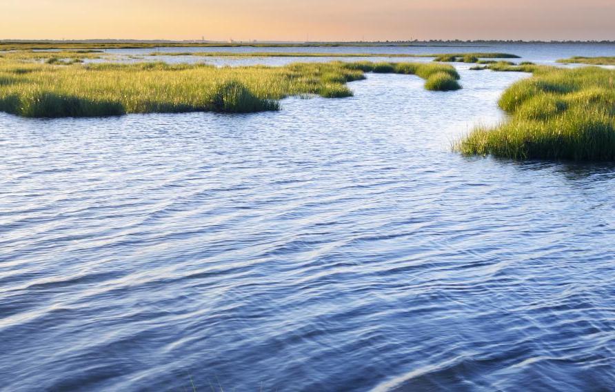 Ocean Inlet with Salt Marsh Grasses 